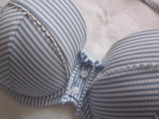 FROST FRENCH FLOOZIE  SIZE 38C