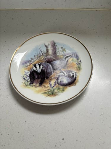 Wildlife britain badgers - wildlife,
