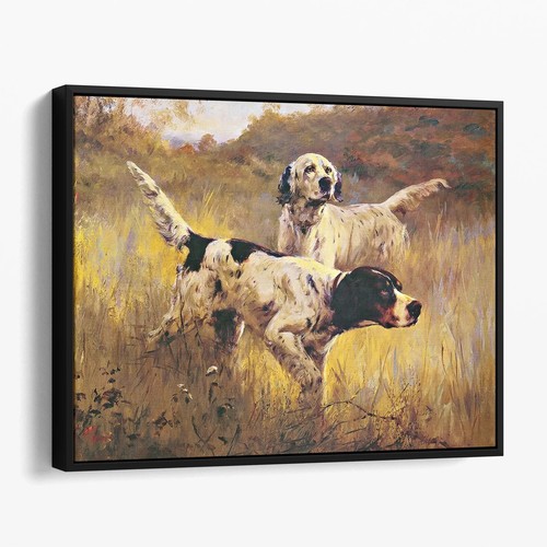 English setters the field - english,