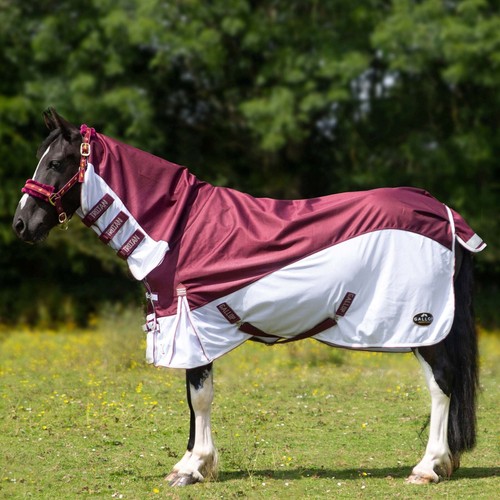 Gallop trojan xtra - trojan, fly