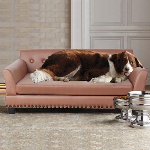 Xxl large leather - xxl, pet