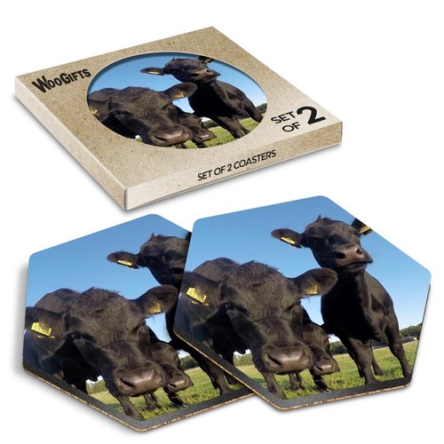 Hexagon mdf coaster - coaster, black