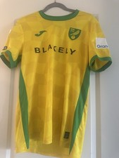 Match Worn Norwich City Jack