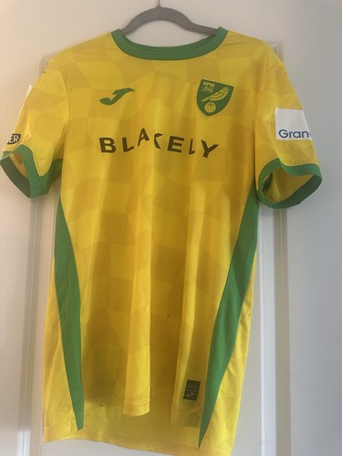 Match worn norwich city - worn,