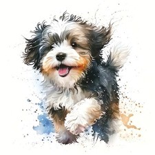 4X Havanese car stickers 9X9