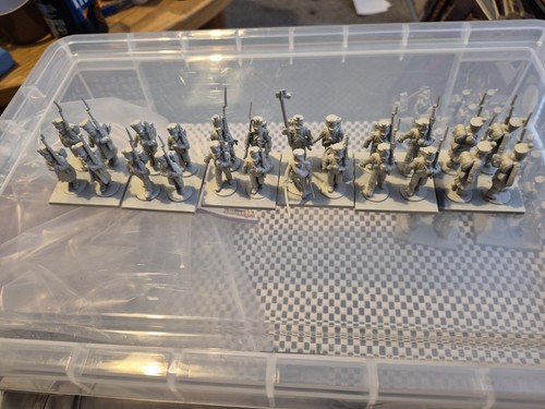 Napoleonic french infantry - napoleonic,