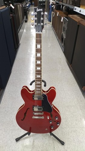 Burny srsa semi acoustic - srsa-65, semi-acoustic