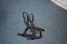 Carriage Underhalters - Mini Pony
