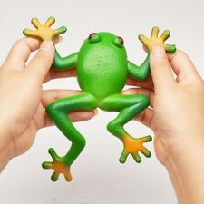 Soft Rubber Sensory Play Frog