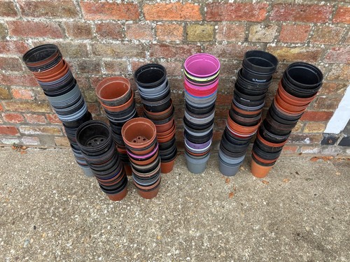 Plastic plant pots used - plant, 1