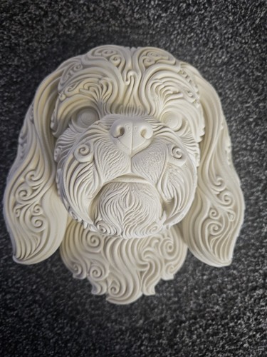 Shitzu dog head - dog,