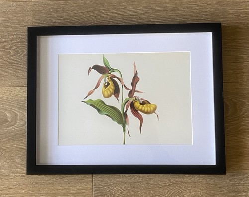 Framed lithographic print - lithographic,