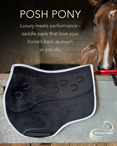 Posh pony pressure - pony, pressure-reducing