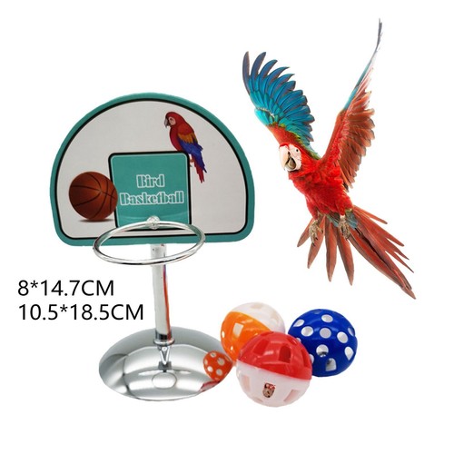 Bird training toys - bird, basketball