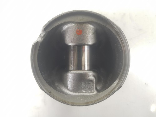 55271722 1924334 piston fiat - 1924334,