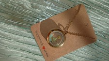 Stainless Steel Gold coloured floating locket/necklace with pendant BNWT