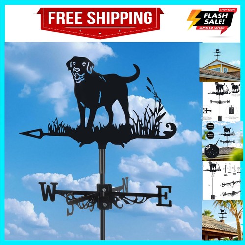 Dog metal weather - dog,