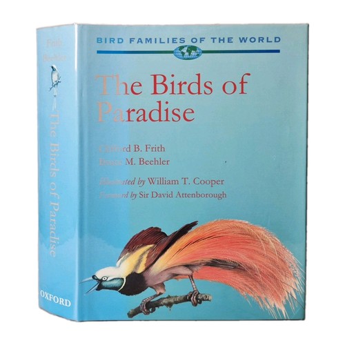 The birds paradise bird - the,