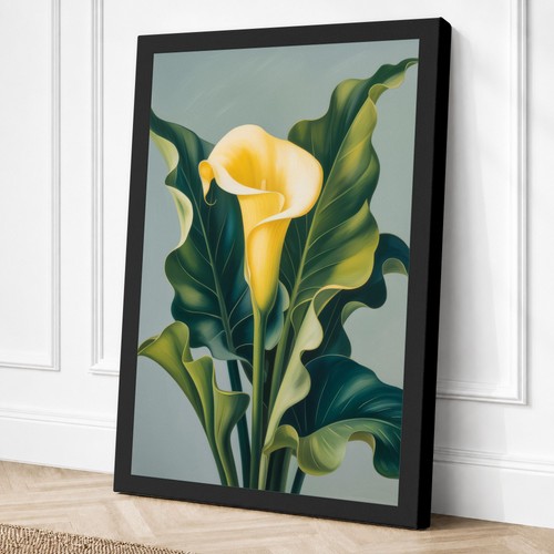Calla lily study - calla, botanical