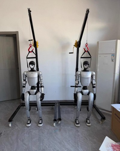 Unitree humanoid bipedal - ,