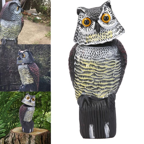 Large realistic owl decoy - large,