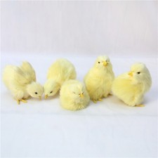 Realistic Chick Plush Toy