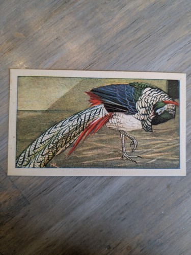 Verkade fabrieken dutch - fabrieken,