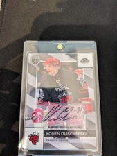 Cardiff devils kohen - cardiff,