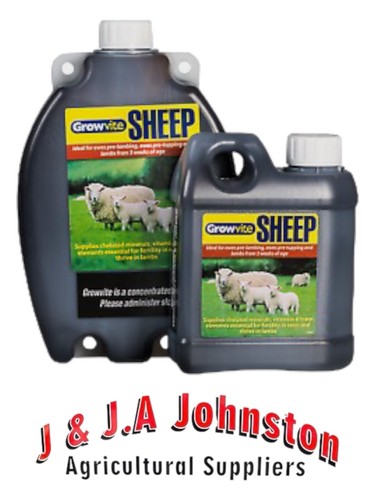 Growvite sheep lamb - sheep/lamb, drench