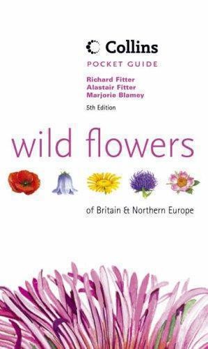 Wild flowers britain and - flowers, of