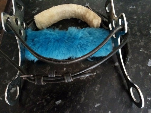 Hackamore sheepskin nose