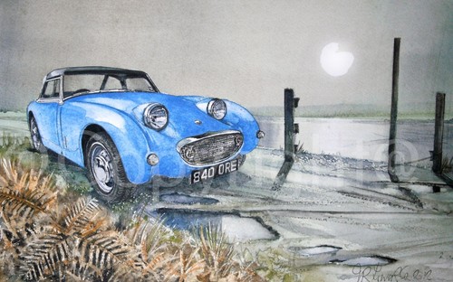Austin healey frog - austin, sprite