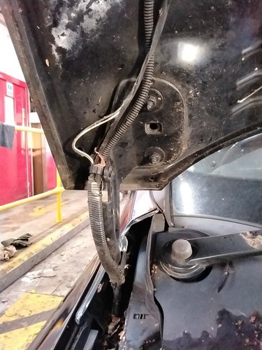 Bonnet hinge ford focus mk3 - rh,