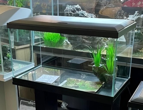 Brand new glass fish - *, tank