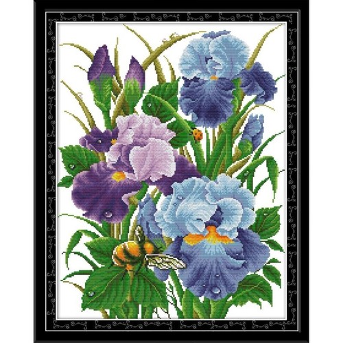 Joy sunday iris - joy,