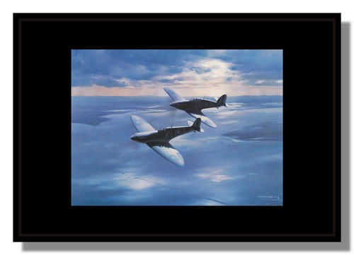 Spitfire and hurricane flying - and,
