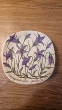 Arabia Finland Esteri Tomula Botanical Small Wall Plate