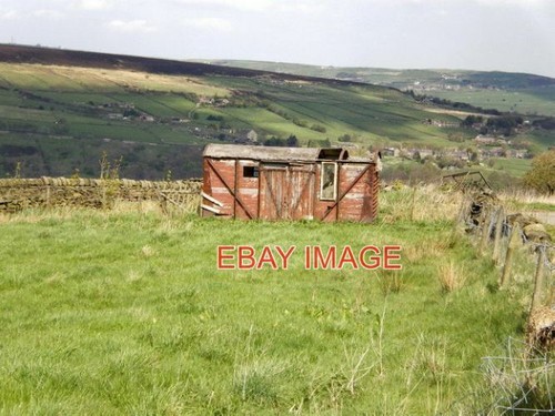 Photo old railway cattle - ,