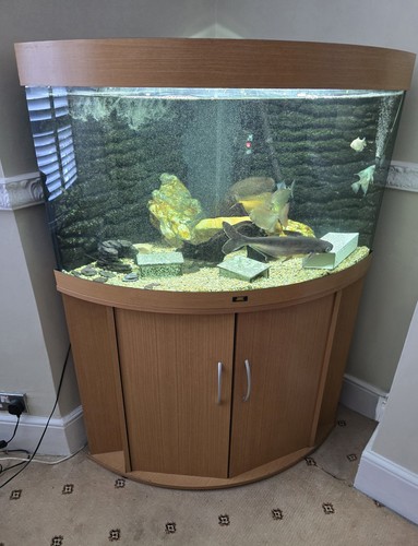 Juwel trigon 190 corner - trigon,