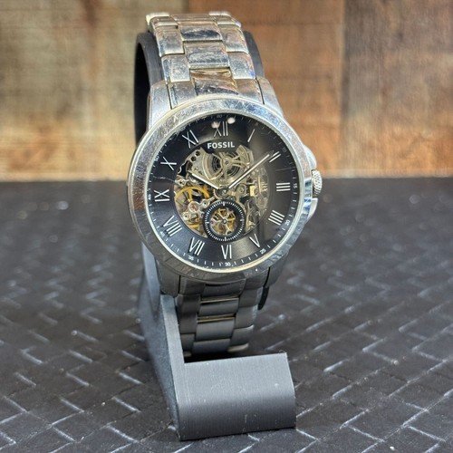 Fossil grant skeleton - fossil,
