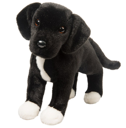 Douglas dog twister black - dog,