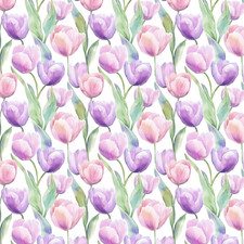 Watercolour Tulips! 100%