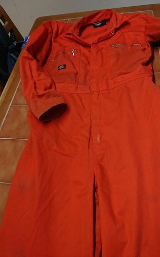 Dickies ladies mens orange - ladies,
