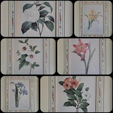 6 X Natural History Museum  Limited Print :The Fairest Flowers of Pierre Redoute