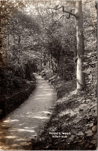 Paygate wood scenic pathway - scenic,