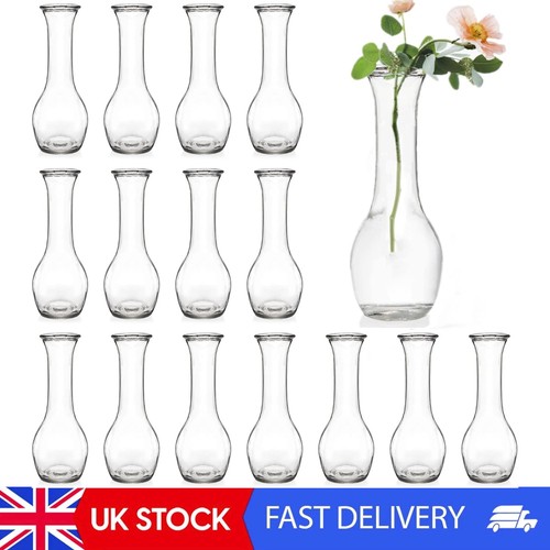 Set glass bud vase - glass,