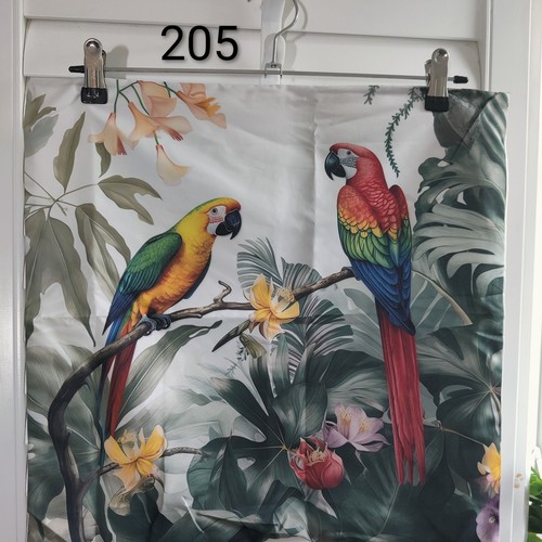 Parrots tropical theme soft