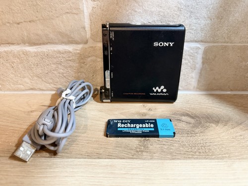 Sony rh1 minidisc portable - minidisc,