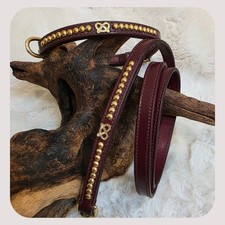 Staffy Show Collar & Lead Set