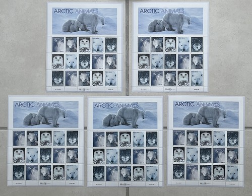 Arctic animals - us, animals’